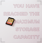 collection wordpress banner